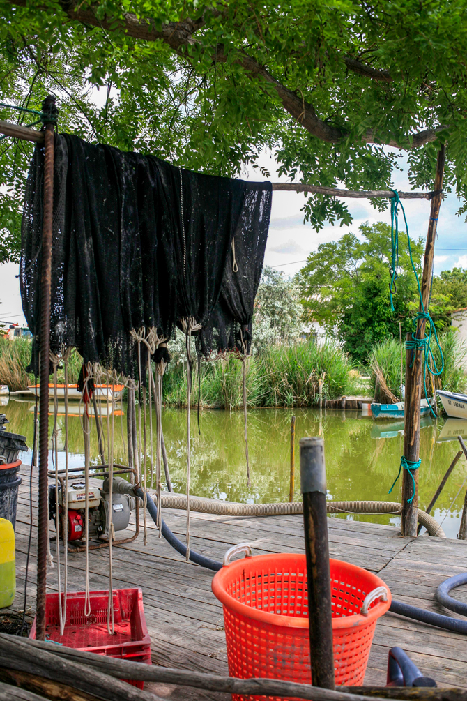 Cabane de pècheurs d'anguilles