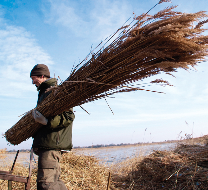 Sagneur tenant une gerbe