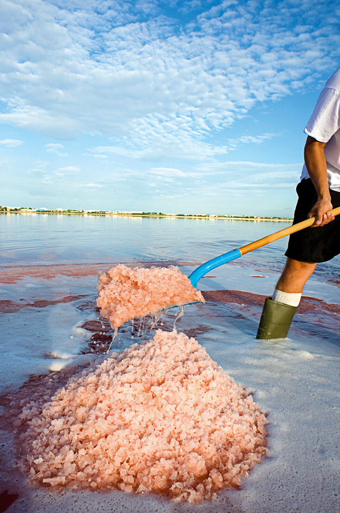 Récolte du sel dans les salins d'Aigues-Mortes
